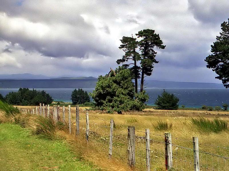 Lake Taupo