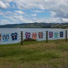 Lake Taupo