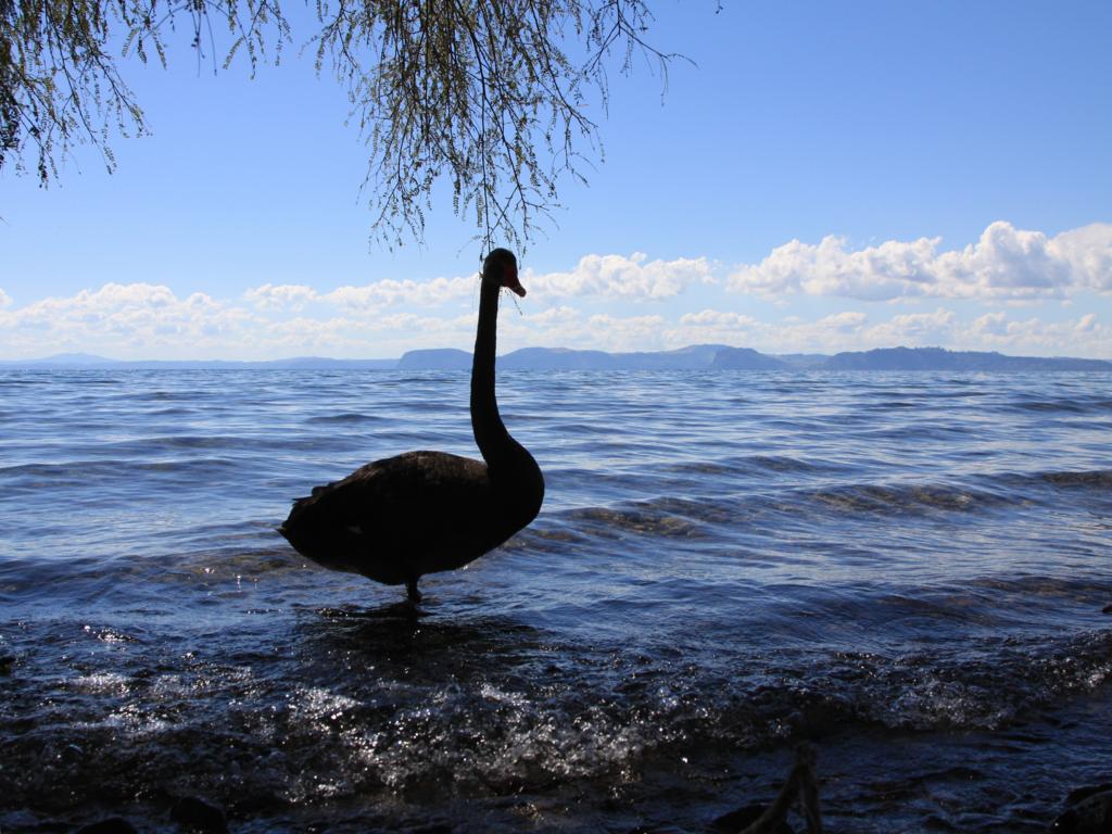 Lake Taupo (Nordinsel/Neuseeland)