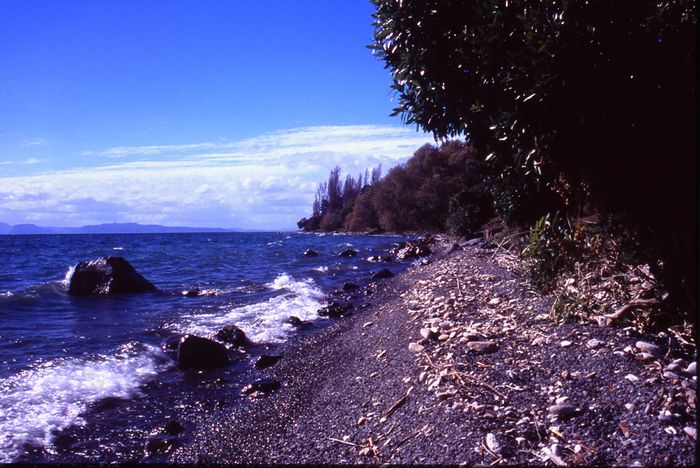 Lake Taupo Shoreline