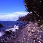 Lake Taupo Shoreline