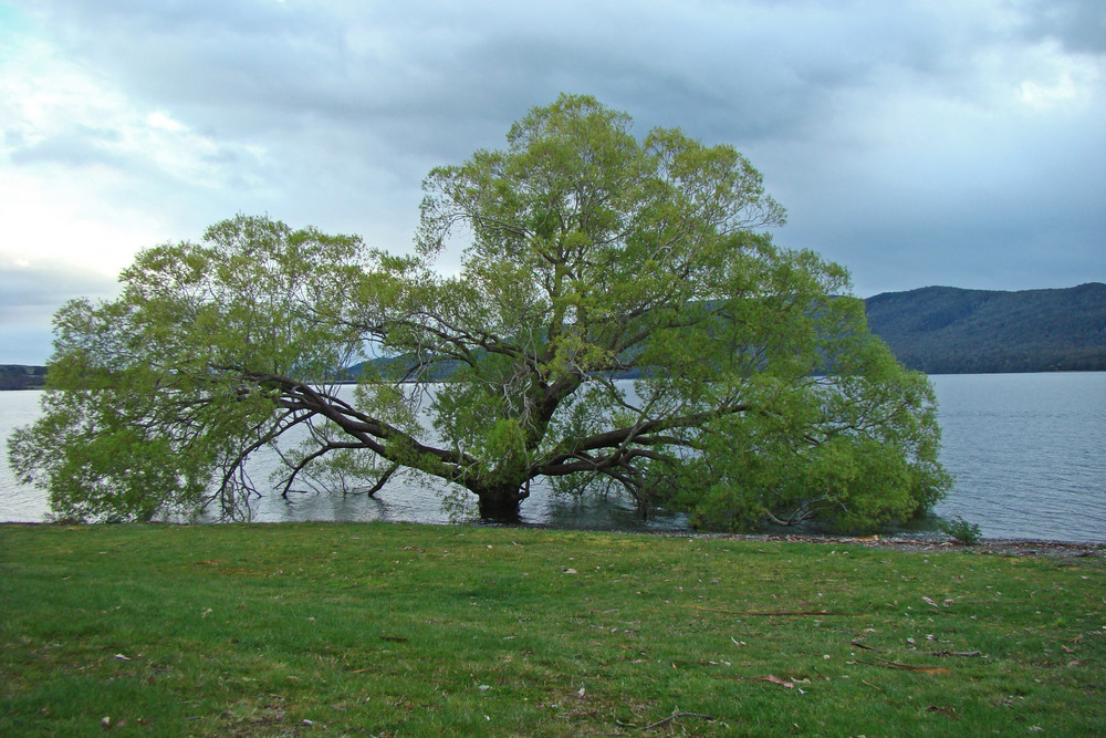 Lake Te Anau