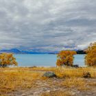 Lake Tekapo #01