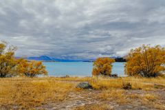 Lake Tekapo #01