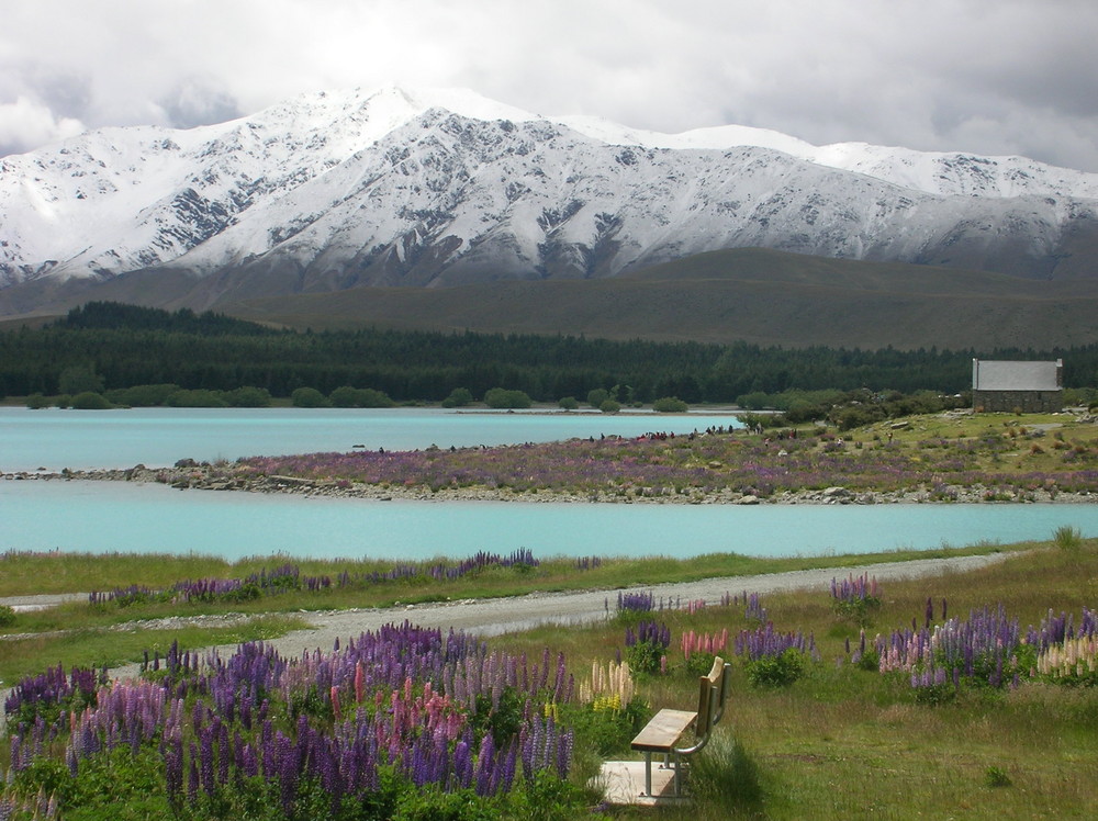 Lake Tekapo