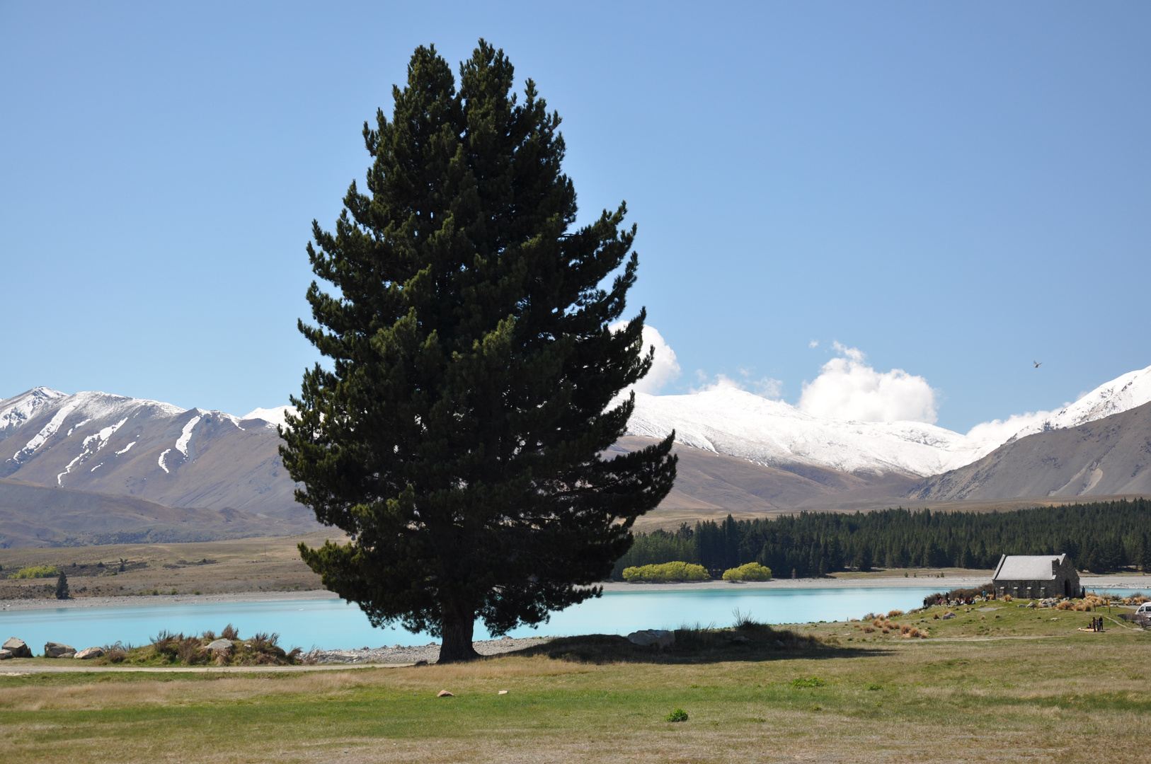 Lake Tekapo