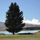 Lake Tekapo