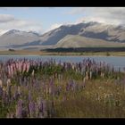 Lake Tekapo