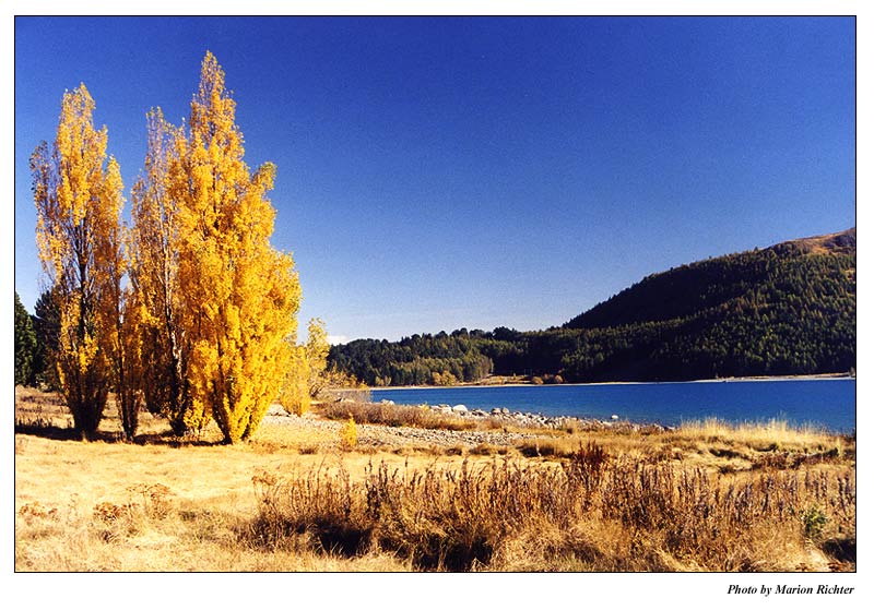 Lake Tekapo