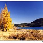 Lake Tekapo