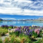 Lake Tekapo