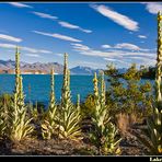 Lake Tekapo