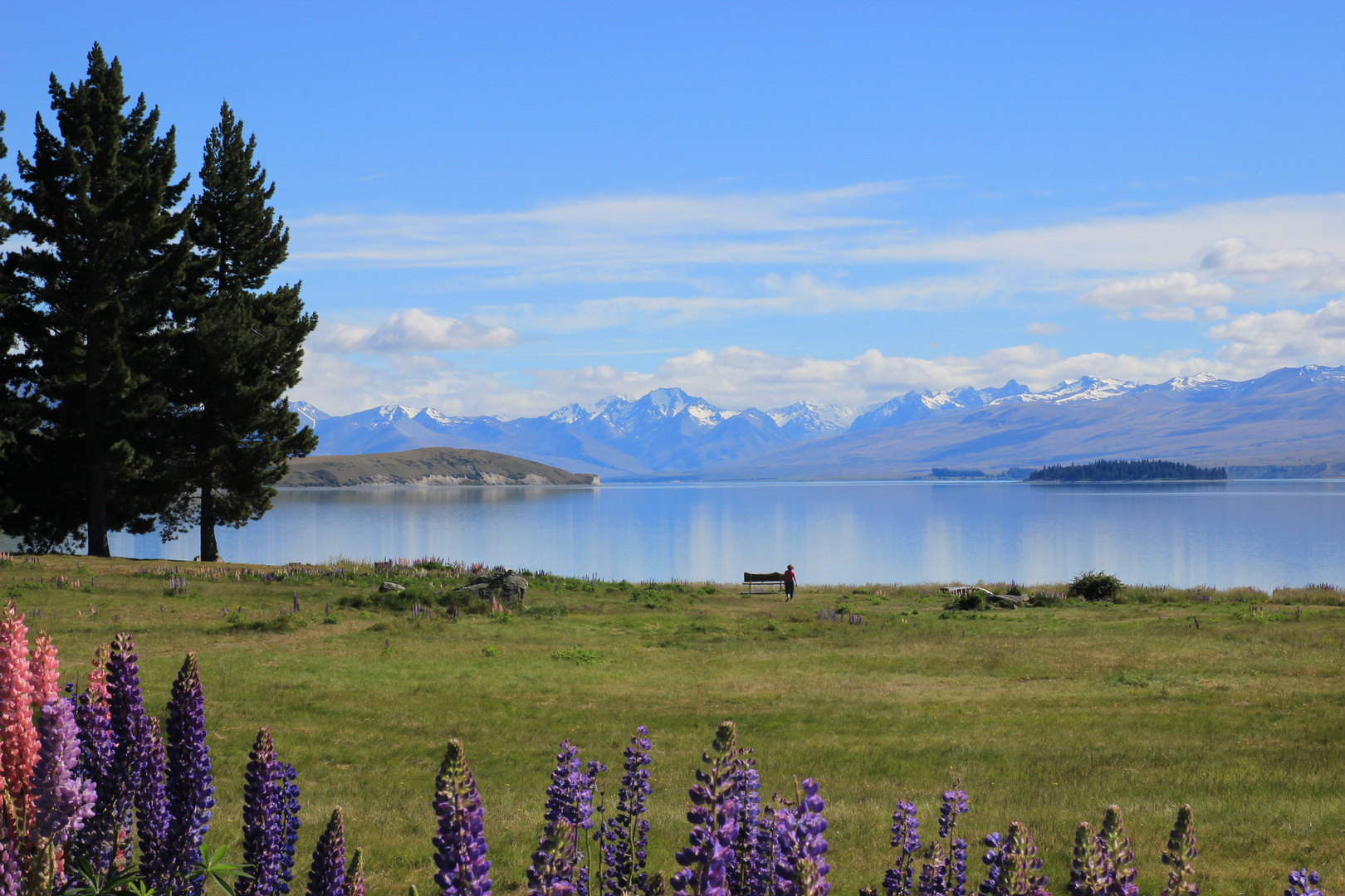 @ Lake Tekapo