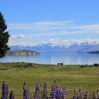 @ Lake Tekapo