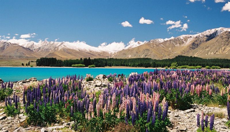 Lake Tekapo