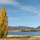 Lake Tekapo