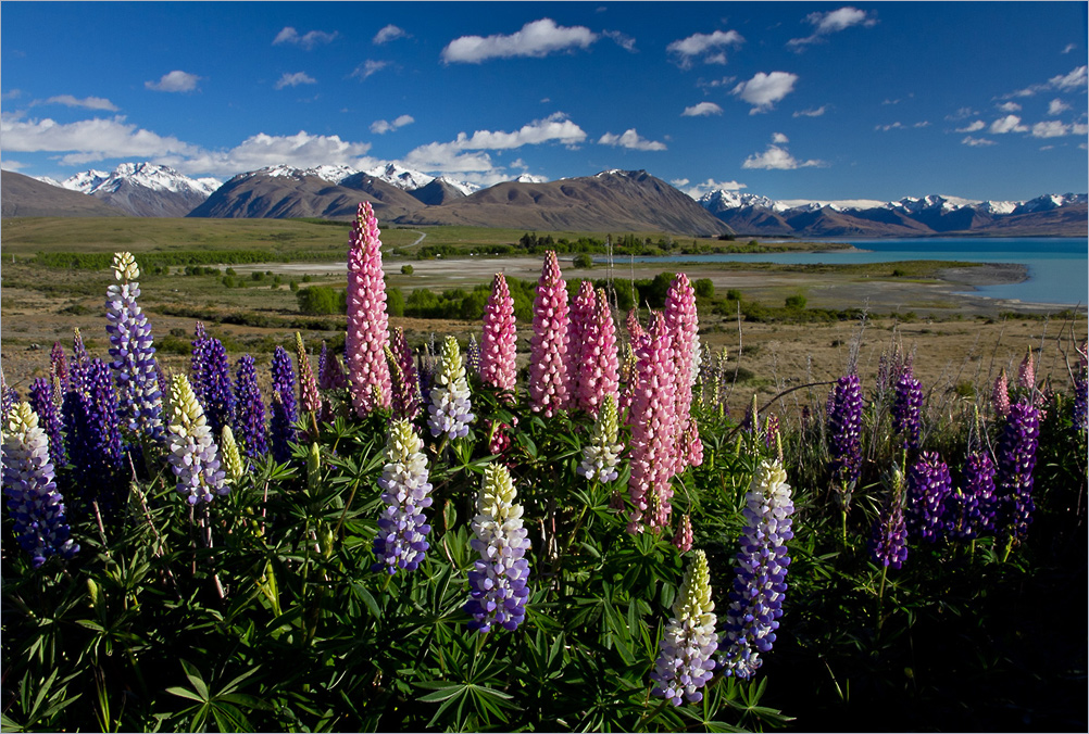 Lake Tekapo