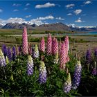 Lake Tekapo