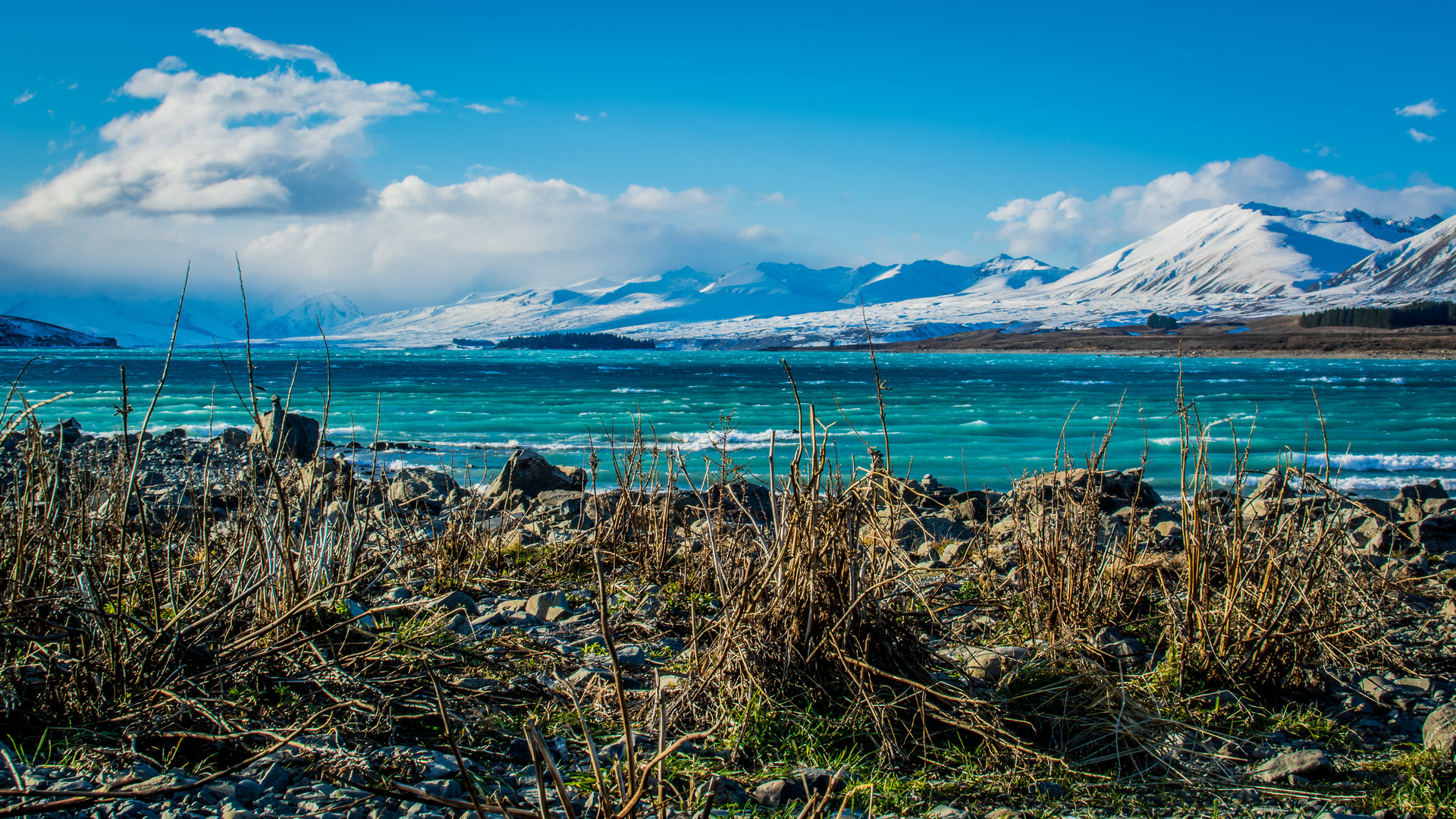 Lake Tekapo