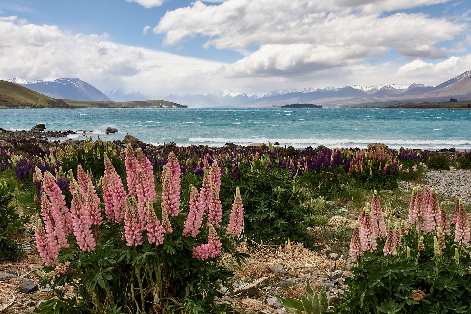 Lake Tekapo