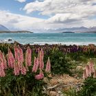 Lake Tekapo