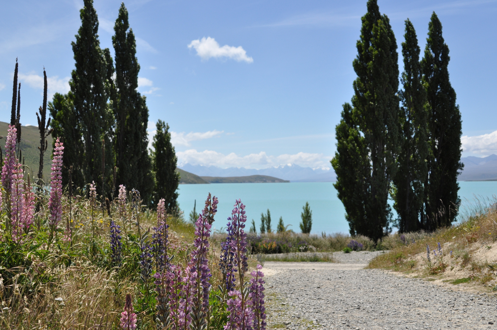 Lake Tekapo