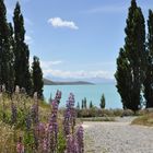 Lake Tekapo