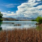 Lake Tekapo