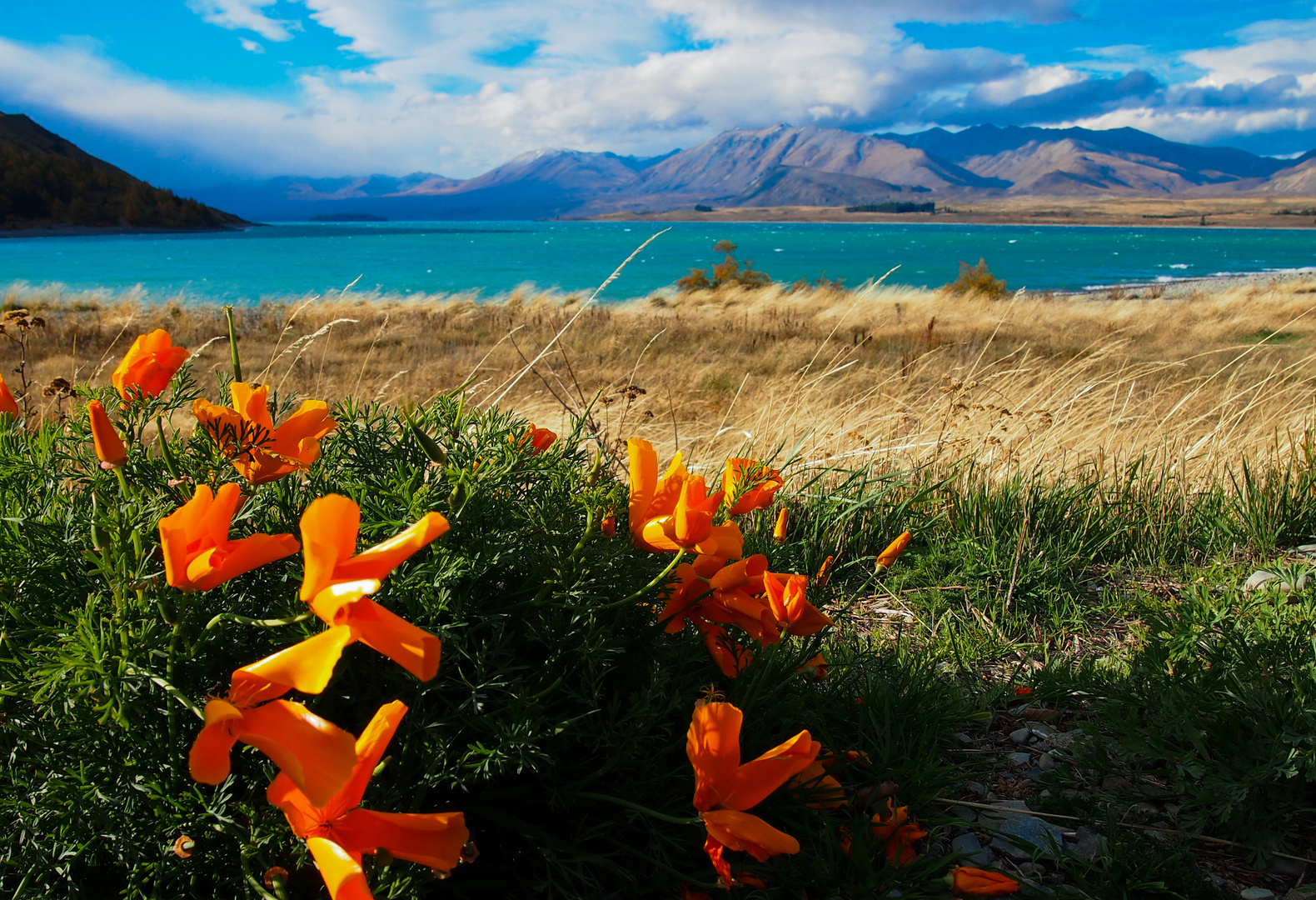 Lake Tekapo