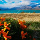 Lake Tekapo