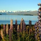 Lake Tekapo