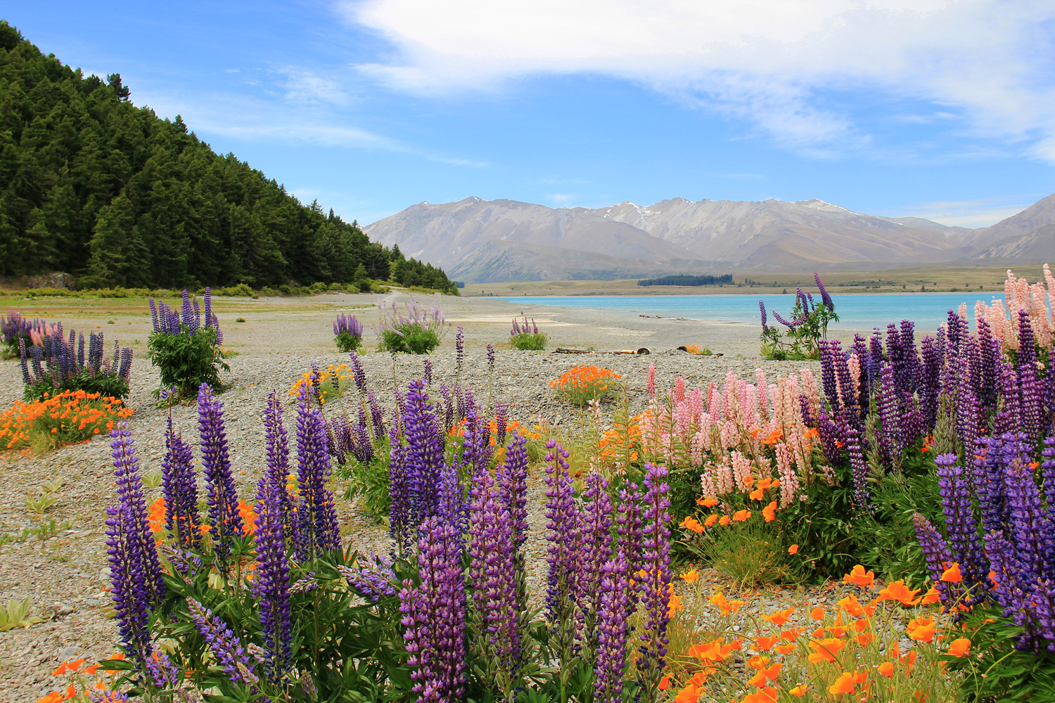 Lake Tekapo