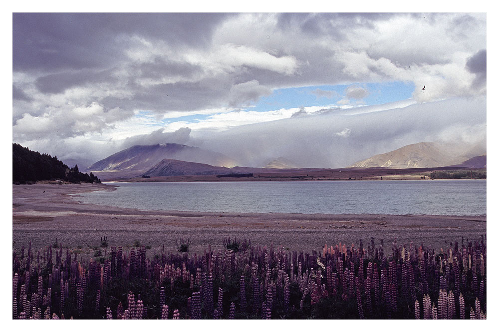 Lake Tekapo