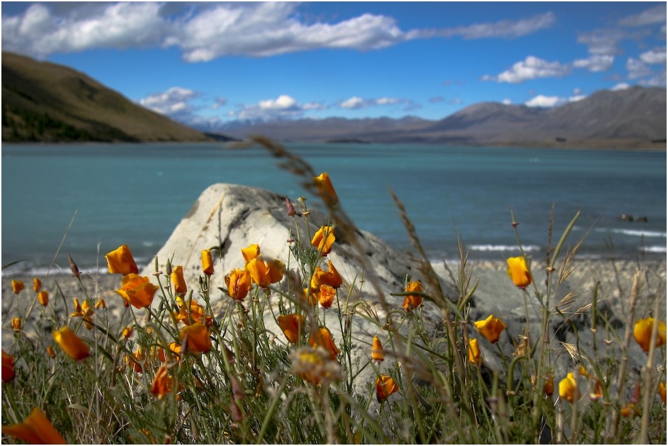 Lake Tekapo