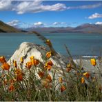 Lake Tekapo