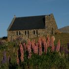 Lake Tekapo - Church of the good shepherd