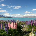 Lake Tekapo