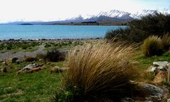 Lake Tekapo II