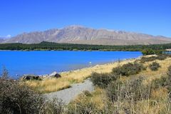 Lake Tekapo II