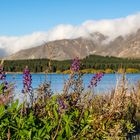 Lake Tekapo in late afternoon