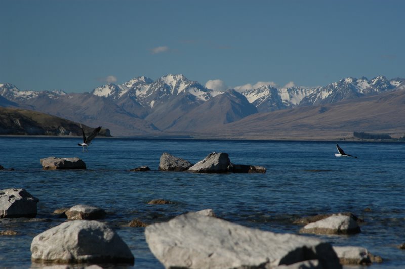 Lake Tekapo Neuseeland