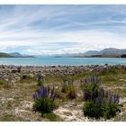 Lake Tekapo - Neuseeland