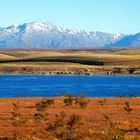 Lake Tekapo, New Zealand