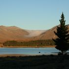 Lake Tekapo New zealand