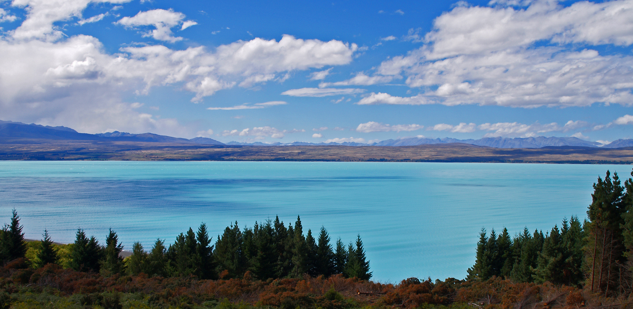 Lake Tekapo Panorama