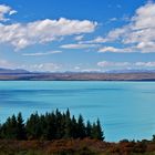 Lake Tekapo Panorama