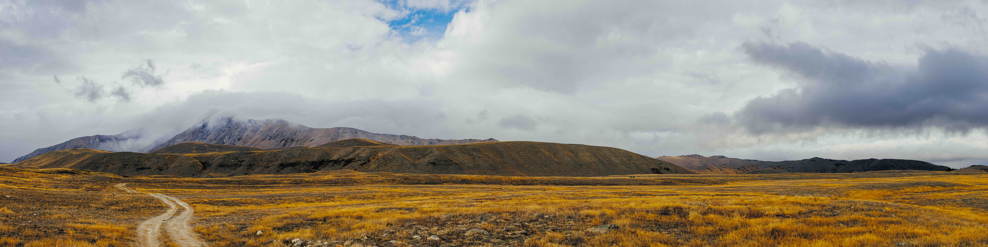 Lake Tekapo Regional Park