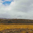 Lake Tekapo Regional Park