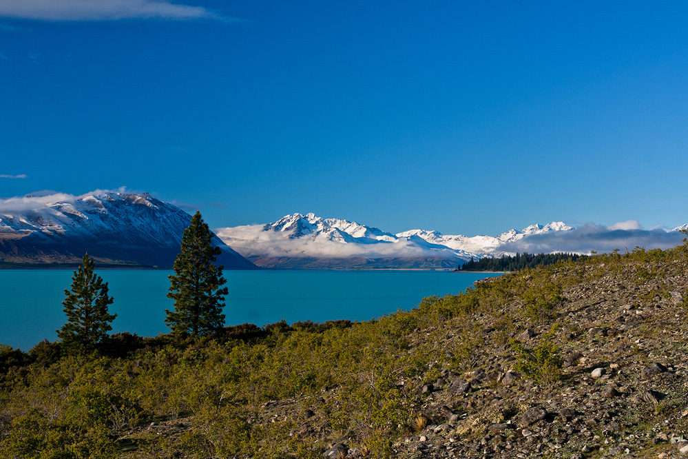 Lake Tekapo, South Island, NZ