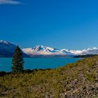 Lake Tekapo, South Island, NZ